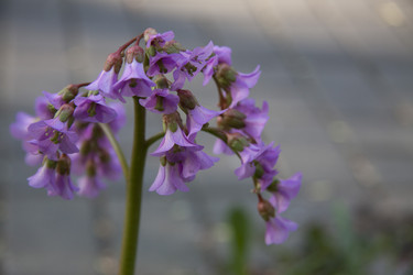 Similar image 2677464