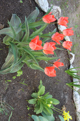 Similar image 2677473