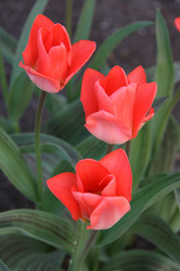 Similar image 2677478