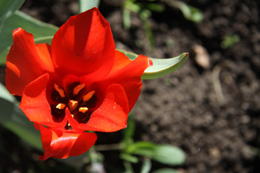 Similar image 2677481