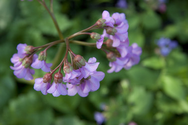 Similar image 2677482