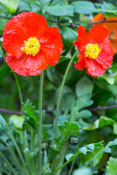 Similar image 2677520