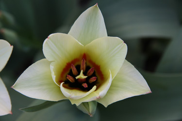 Similar image 2677534