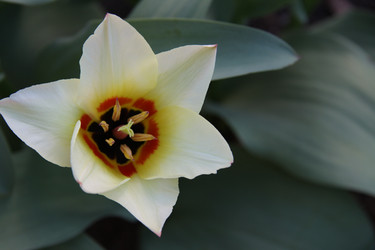 Similar image 2677536