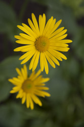 Similar image 2677537