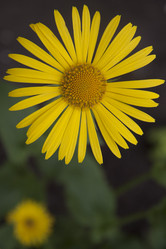 Similar image 2677538