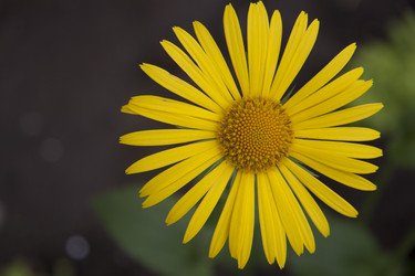 Similar image 2677540