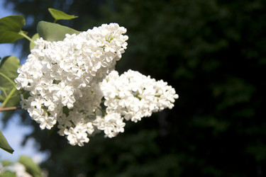 Similar image 2677541