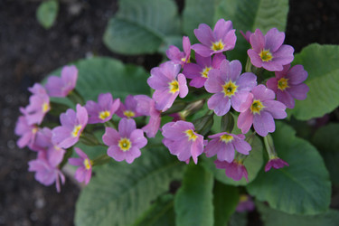 Similar image 2677545