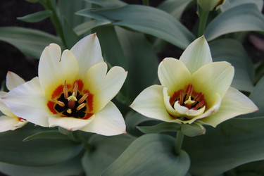 Similar image 2677546