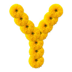 Similar image 2677607