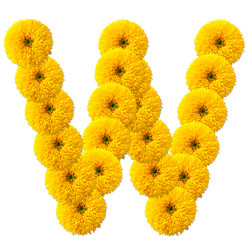 Similar image 2677614