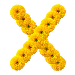 Similar image 2677615