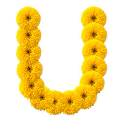 Similar image 2677616