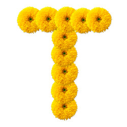 Similar image 2677618