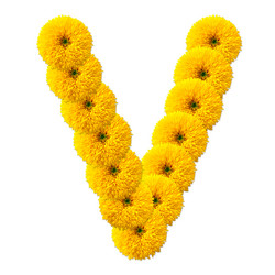 Similar image 2677619