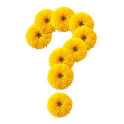 Similar image 2677622