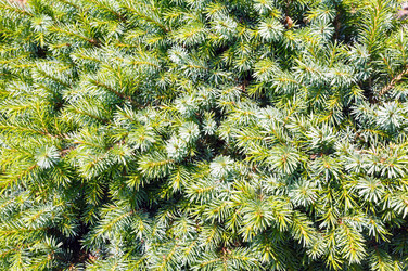 Similar image 2677727