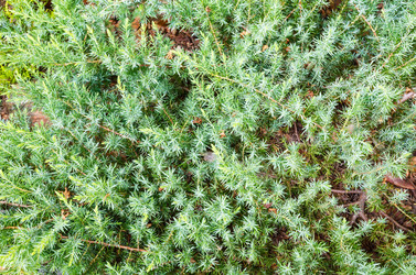 Similar image 2677729