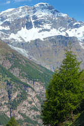 Similar image 2677740