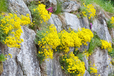 Similar image 2677742