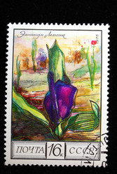 Similar image 2677813