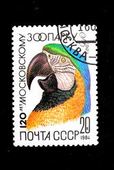 Similar image 2678048