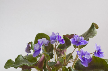 Similar image 2678497