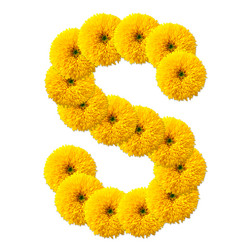 Similar image 2678575