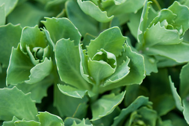 Similar image 2678697