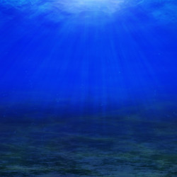 Similar image 2678994