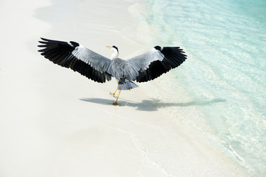 Similar image 2679471