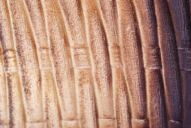 Similar image 2679684