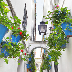 Similar image 2680348