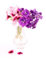 Similar image 2680772