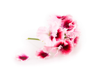 Similar image 2680775