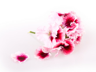 Similar image 2680777