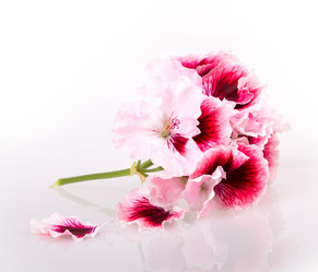 Similar image 2680778