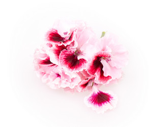 Similar image 2680785