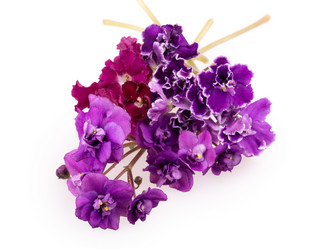 Similar image 2680787