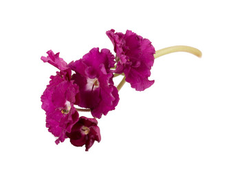 Similar image 2680789