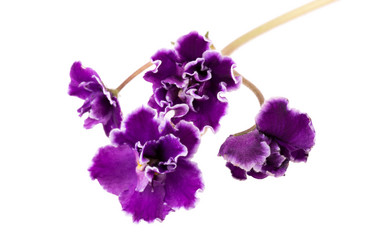 Similar image 2680792