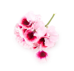 Similar image 2680795