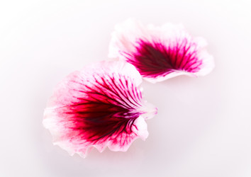 Similar image 2680798