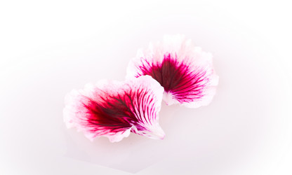 Similar image 2680799