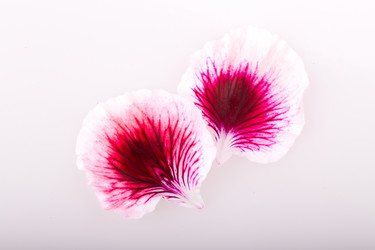 Similar image 2680800