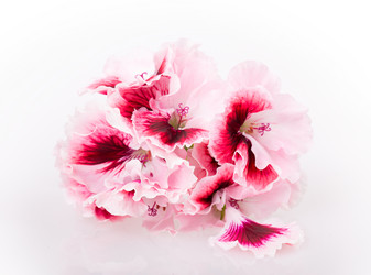 Similar image 2680805