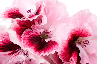 Similar image 2680807