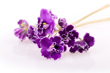 Similar image 2680817