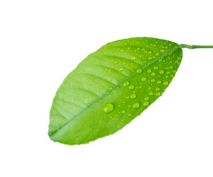 Similar image 2680825